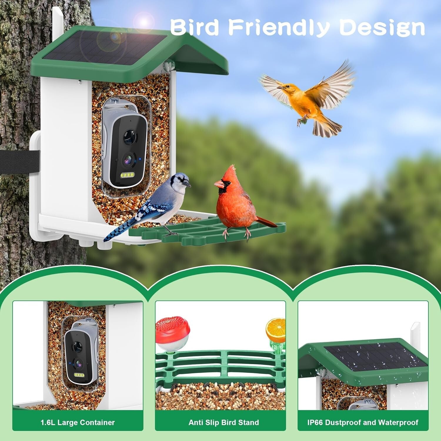 Weatherproof Bird Feeder Camera with Live View – Instant Notifications & Sharing