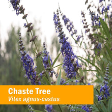 Load image into Gallery viewer, Organic Chaste Tree Extract for Female Health - Rapid Absorption, 4 oz Bottle