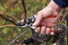 Load image into Gallery viewer, Swiss-Made Pruning Shears: Lightweight Garden Scissors with Steel Blade