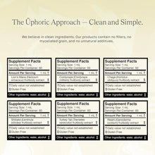 Load image into Gallery viewer, 6-Piece Mushroom Tincture Discovery Set - Wellness Gift for Enthusiasts