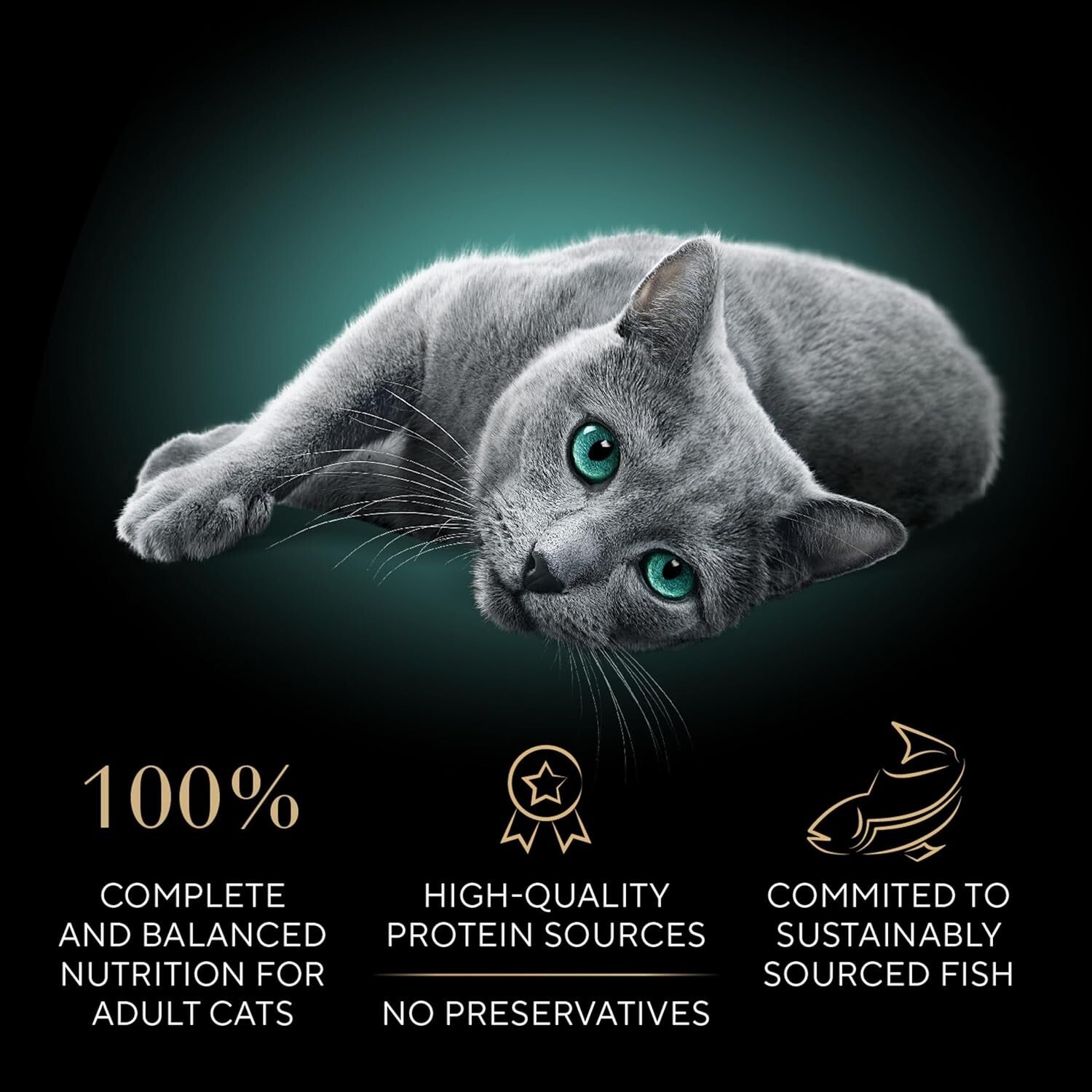 Sustainable Cat Food: Perfect Portions Cuts in Gravy Variety Pack for Adults