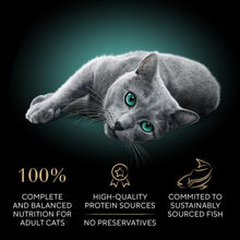 Load image into Gallery viewer, Sustainable Cat Food: Perfect Portions Cuts in Gravy Variety Pack for Adults