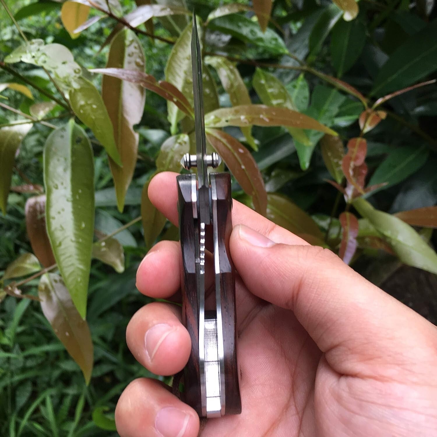 2" Damascus Folding Pocket Knife with Sandalwood Handle - Perfect for Camping