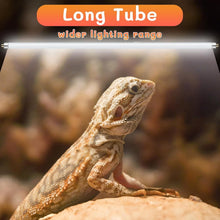 Load image into Gallery viewer, Premium 2 Pack of T5 UVB 39W Reptile Light Bulbs for Optimal UV Exposure