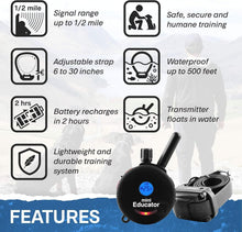 Load image into Gallery viewer, Rechargeable Remote Dog Training Collar - 100 Levels &amp; Safety Features for Dogs