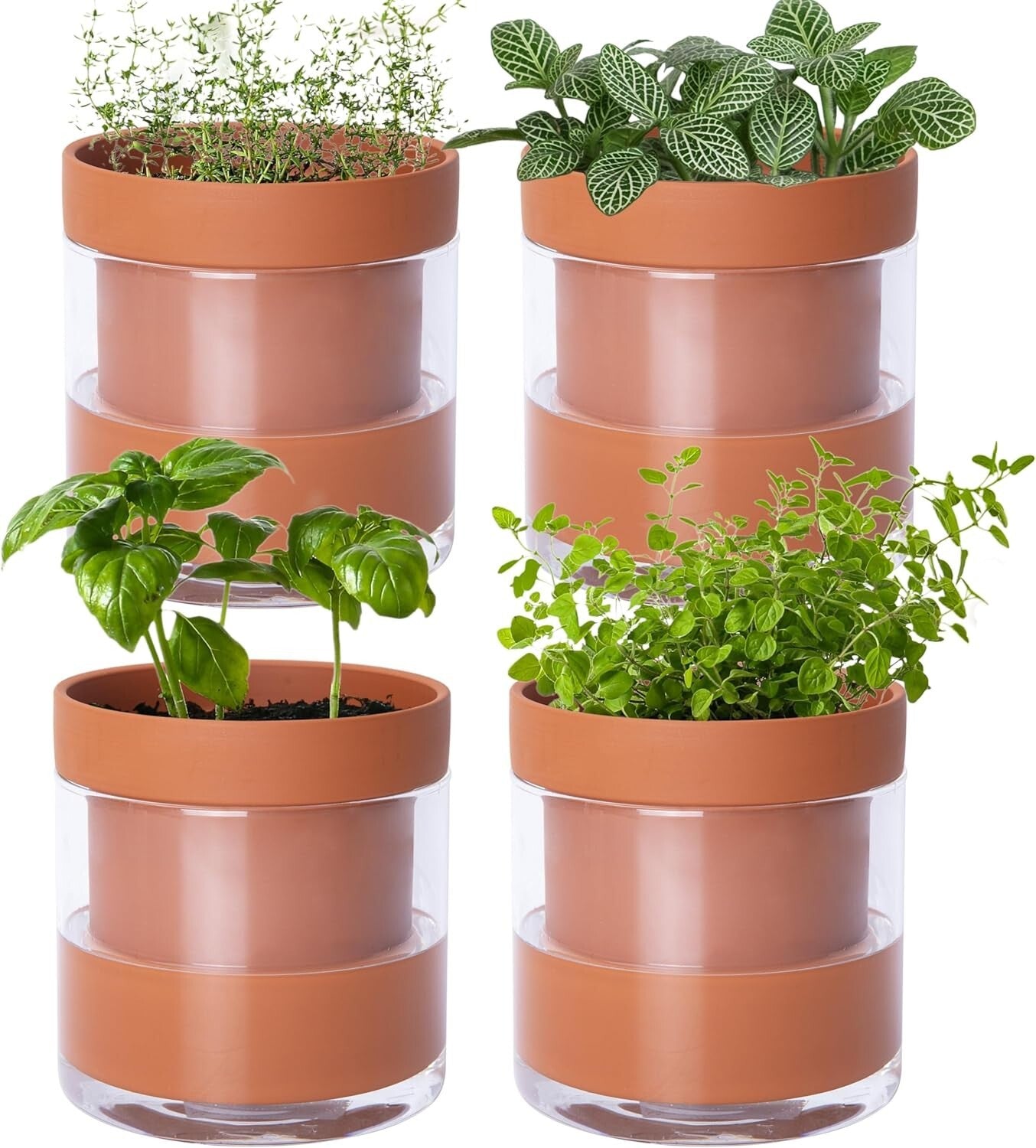 4-Inch Terracotta Clay Pot with Glass Reservoir for Hassle-Free Indoor Planting