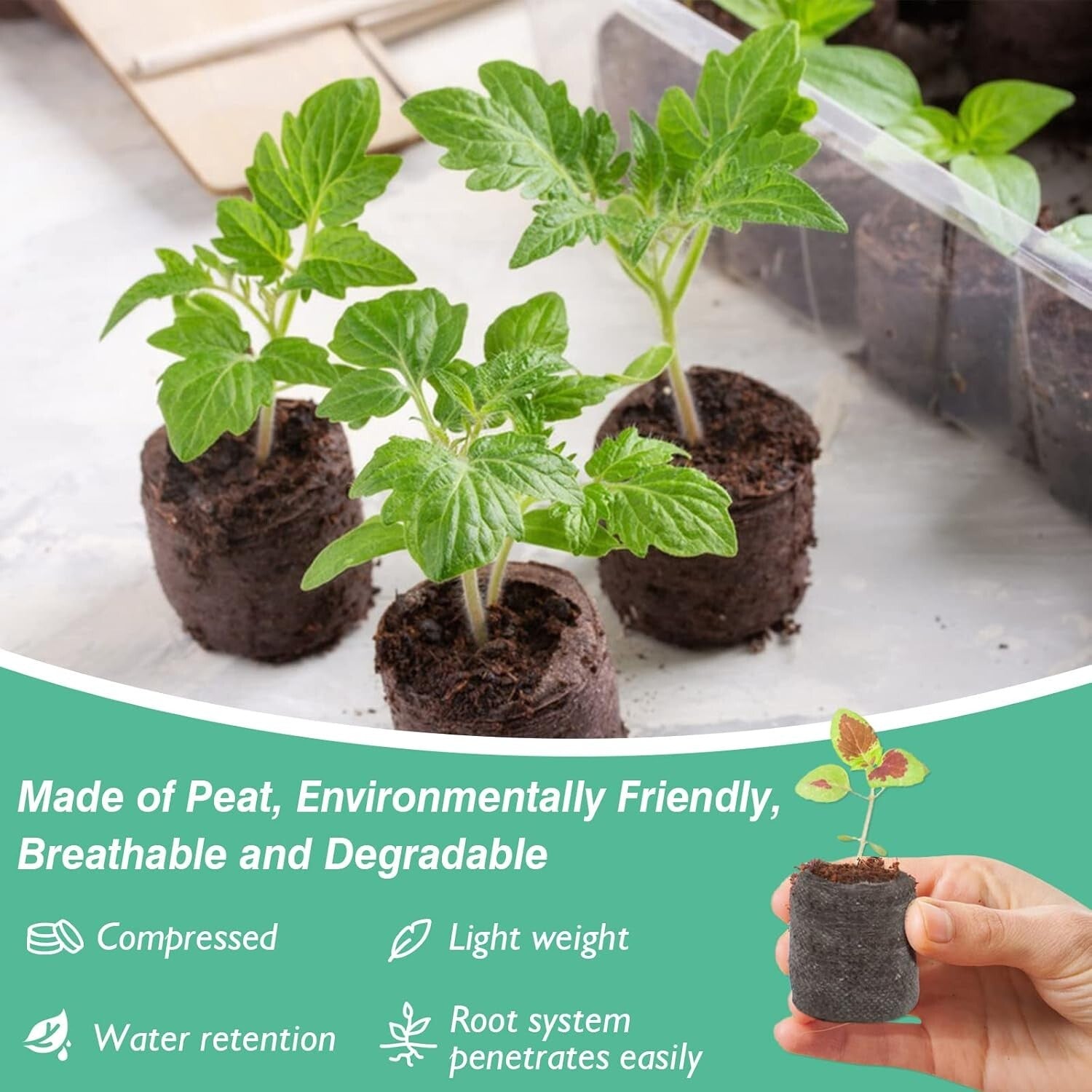 Compact 500 Pcs 30mm Peat Seed Starter Pods - Effortless Transplanting for All