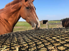 Load image into Gallery viewer, Lightweight 4x5 Knotless Hay Net for Round Bales – Savings &amp; Comfort Combined
