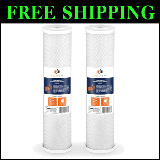 Premium CTO Carbon Block Water Filter - 20 x 4.5 Inch Replacement, 2 Pack