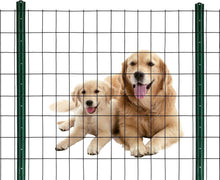 Load image into Gallery viewer, Weather Resistant Black PVC Coated Wire Mesh Fence - 24" x 50' for Gardens