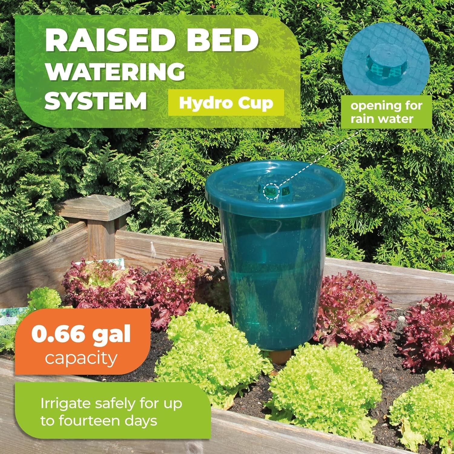 Eco-Friendly HYDRO CUP Planter Set - Water-Conserving 0.66 Gal System - 4 Pcs