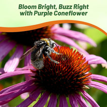 Load image into Gallery viewer, Heirloom Echinacea Coneflower Seeds - Drought Tolerant and Easy to Grow