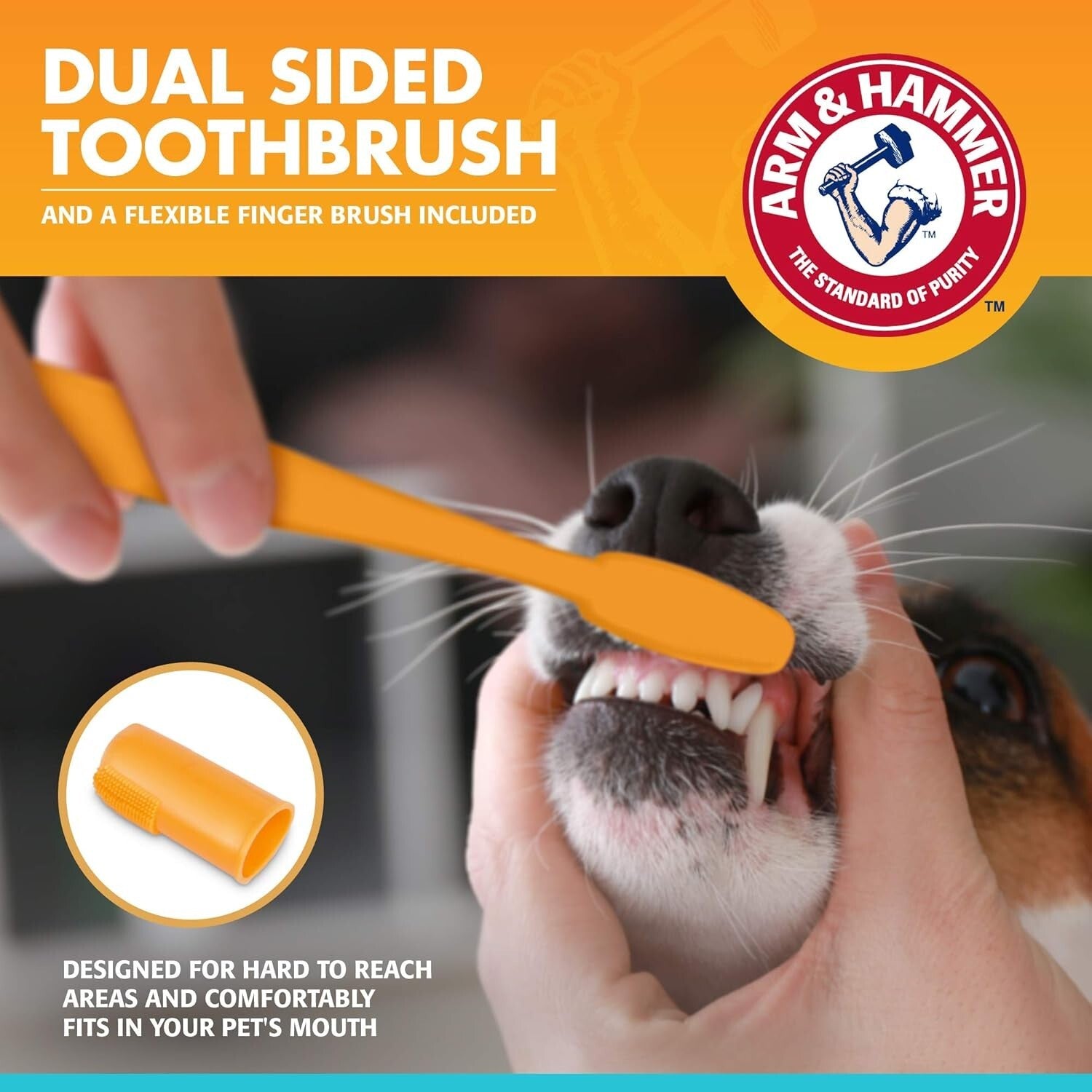 Effective 48-Pack Dog Dental Kit with Chicken Flavor Toothpaste for Fresh Breath