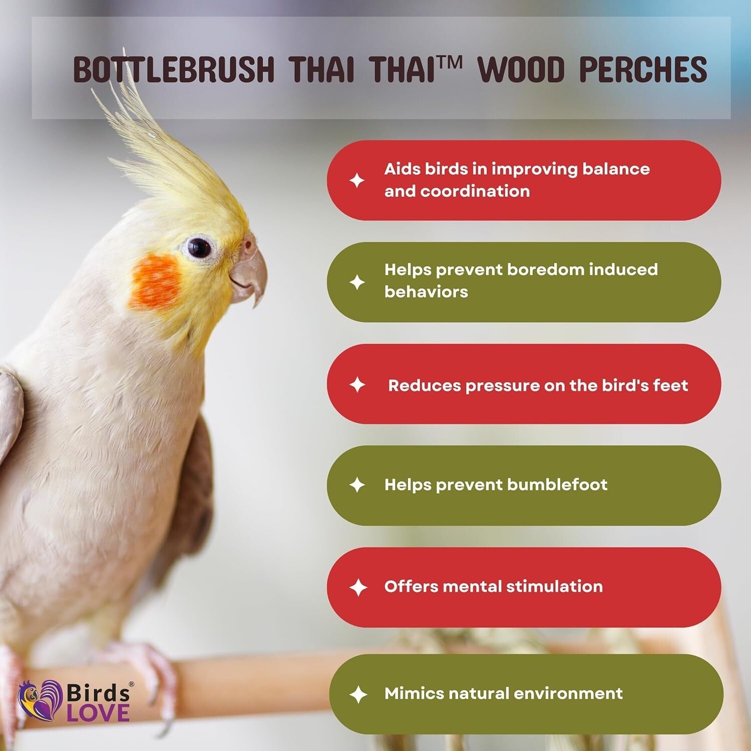 Large Natural Wood Bird Perches for Macaws & Large Parrots – Eco-Friendly Stands