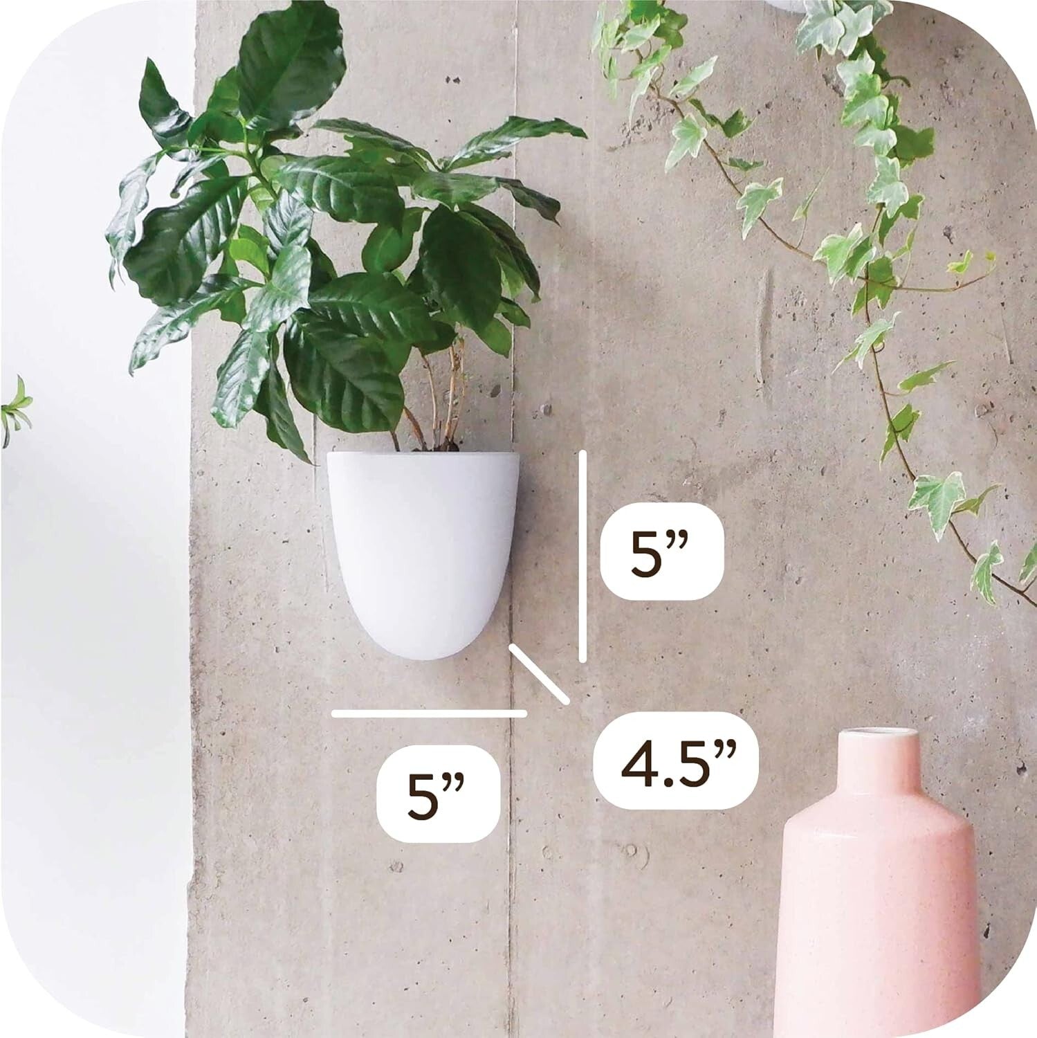 Lightweight Resin Indoor Wall Planters - 6 Self-Watering Pots for Easy Care