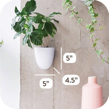 Load image into Gallery viewer, Lightweight Resin Indoor Wall Planters - 6 Self-Watering Pots for Easy Care