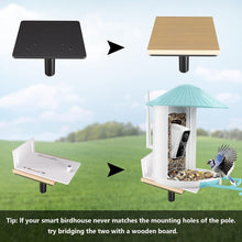 Load image into Gallery viewer, Robust Bird House Pole Kit with 5-Prong Base - Perfect for Bird Watching