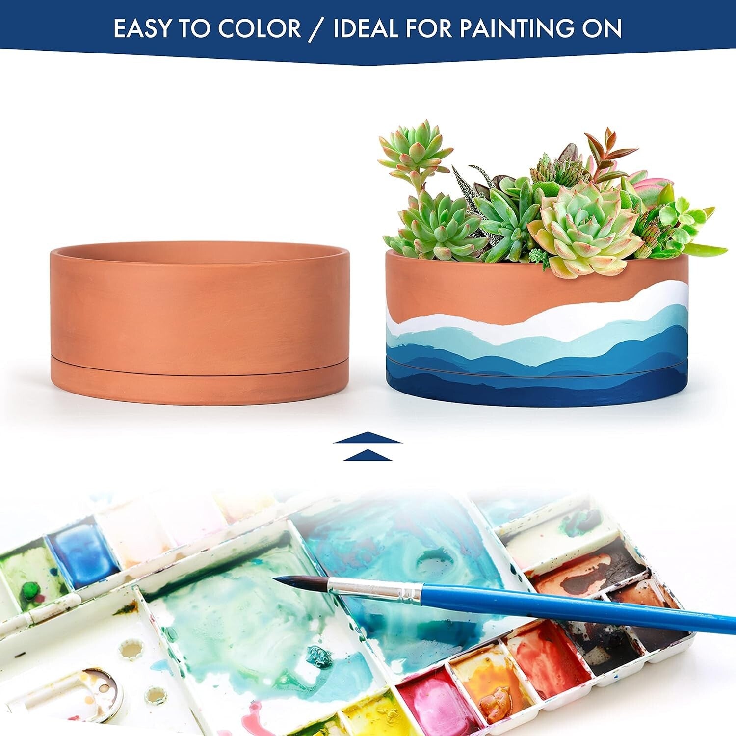 10-Inch Round Succulent Terracotta Pot with Drainage & Saucer – Elegant Choice