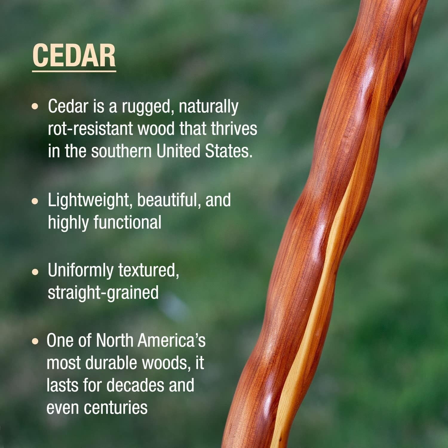 Derby Style Handcrafted Cedar Cane, 34-Inch - Lightweight & Stylish Mobility Aid