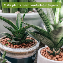 Load image into Gallery viewer, Versatile Organic Expanded Clay Aggregate for Enhanced Plant Growth &amp; Fertility