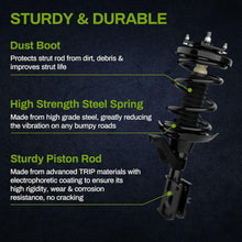 Load image into Gallery viewer, Premium Front Struts &amp; Coil Springs for 2001-2005 Civic, Acura - Performance Fit