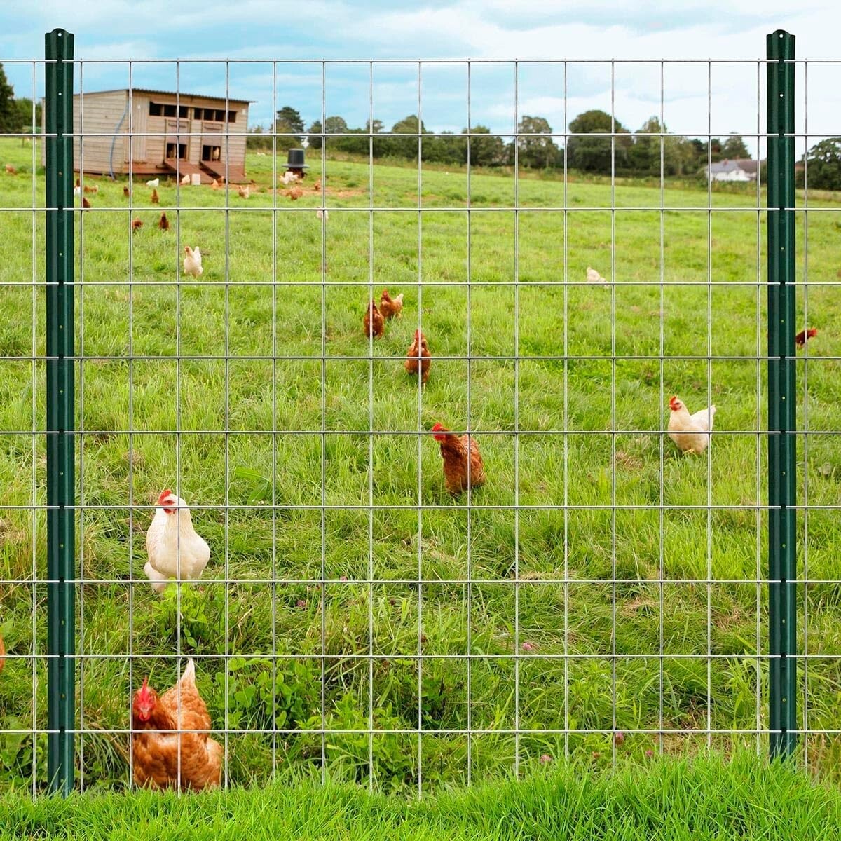 Durable Galvanized Welded Wire Fence - 16GA 24" x 50' for Gardens & Livestock