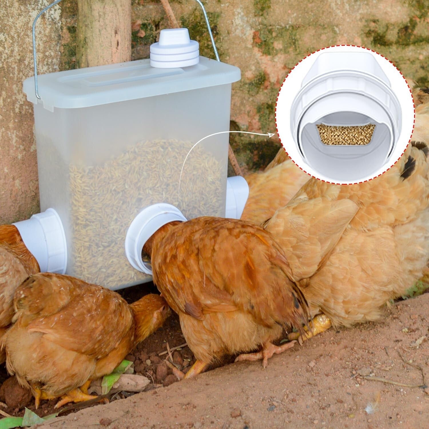 Durable Rainproof Gravity Feed Chicken Feeder Ports - Perfect for DIY Projects