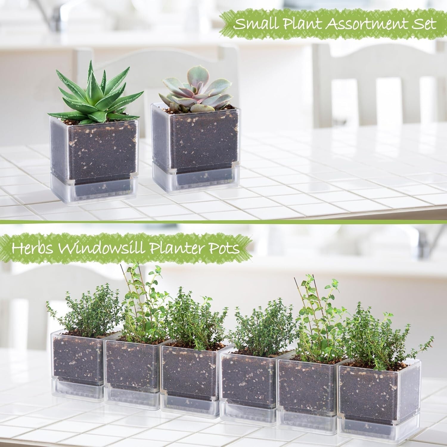 Stylish 4-Inch Plastic Herb Planter Pots with Drainage Holes for Indoor Use