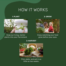 Load image into Gallery viewer, Medium Hydroponic Vertical Planter with 24 Pre-Sprouted Plants - Easy Gardening