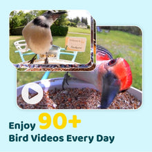 Load image into Gallery viewer, Solar-Powered Bird Feeder with Camera &amp; Motion Detection for Bird Enthusiasts
