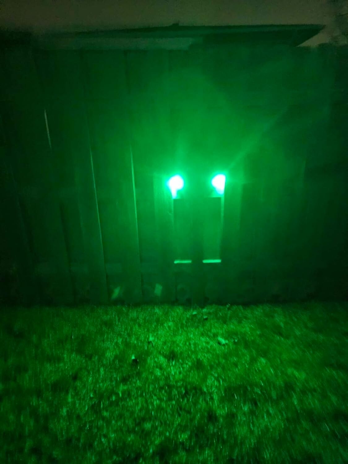 Eco-Friendly Motion Sensor Solar Hog Lighting with 20 LED Green Lights - 2 Pack