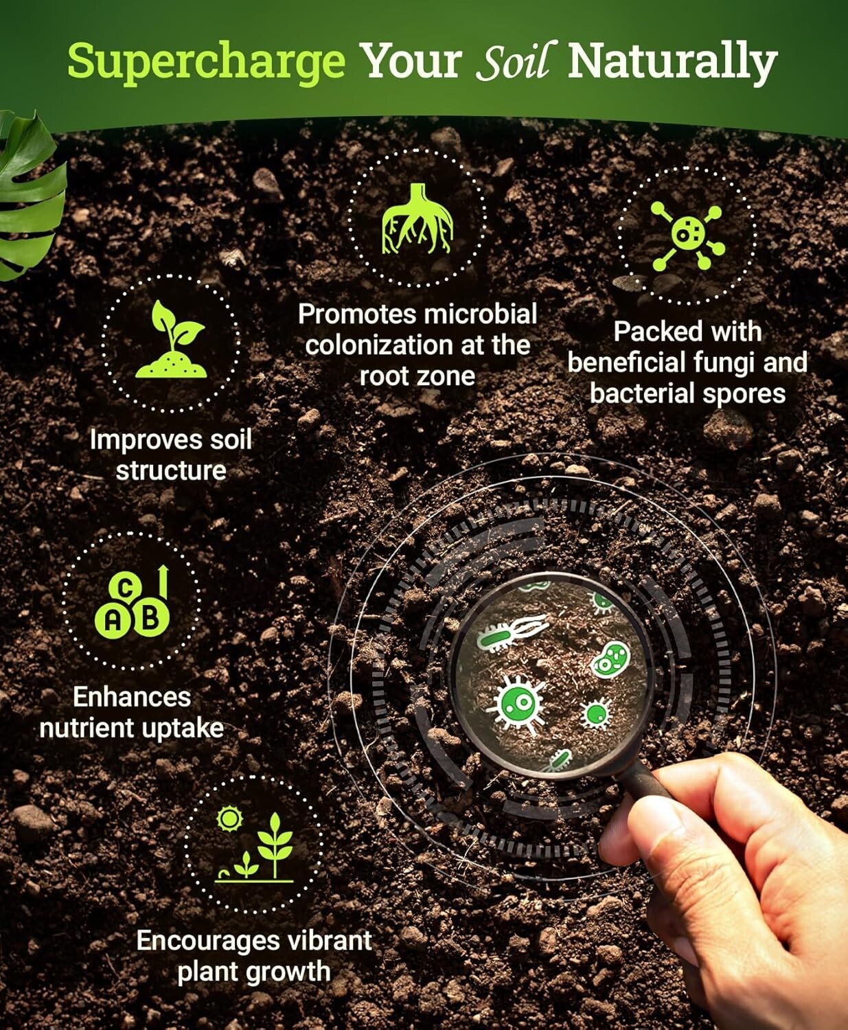 Boost Nutrient Uptake with Bushdoctor Microbe Brew - 1 Gallon of Liquid Goodness