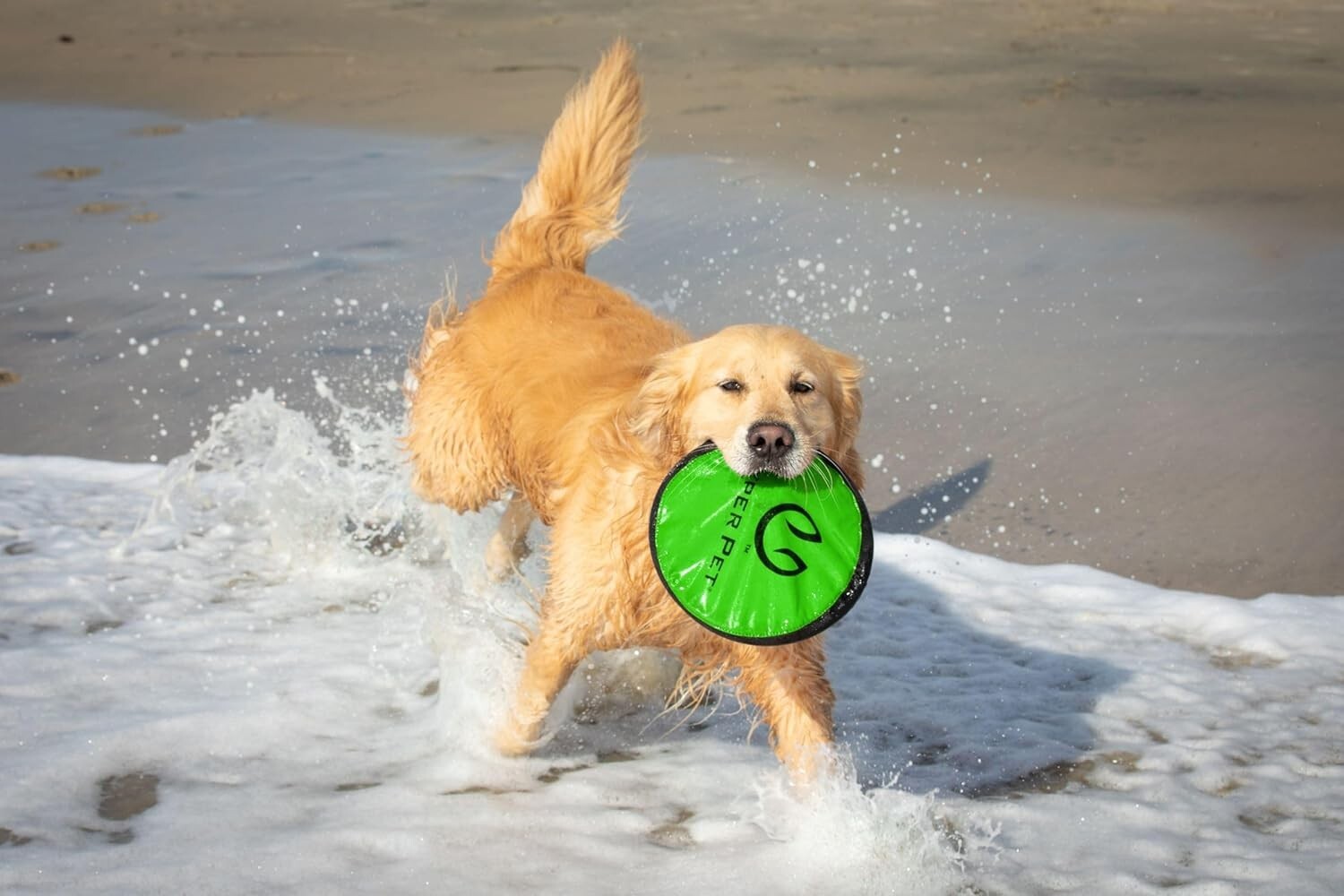 Colorful 9-Inch Soft Dog Discs - Floating Fetch Toy, Pack of 5 for All Breeds