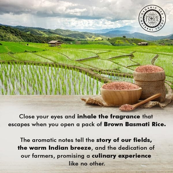 Extra Long Grain Brown Basmati Rice - 6 Jars of 1.5lb Each, Vegan & Gluten Free