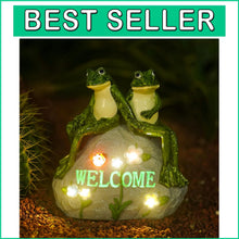 Load image into Gallery viewer, Colorful and Waterproof Solar Garden Frog with Succulent - Housewarming Gift