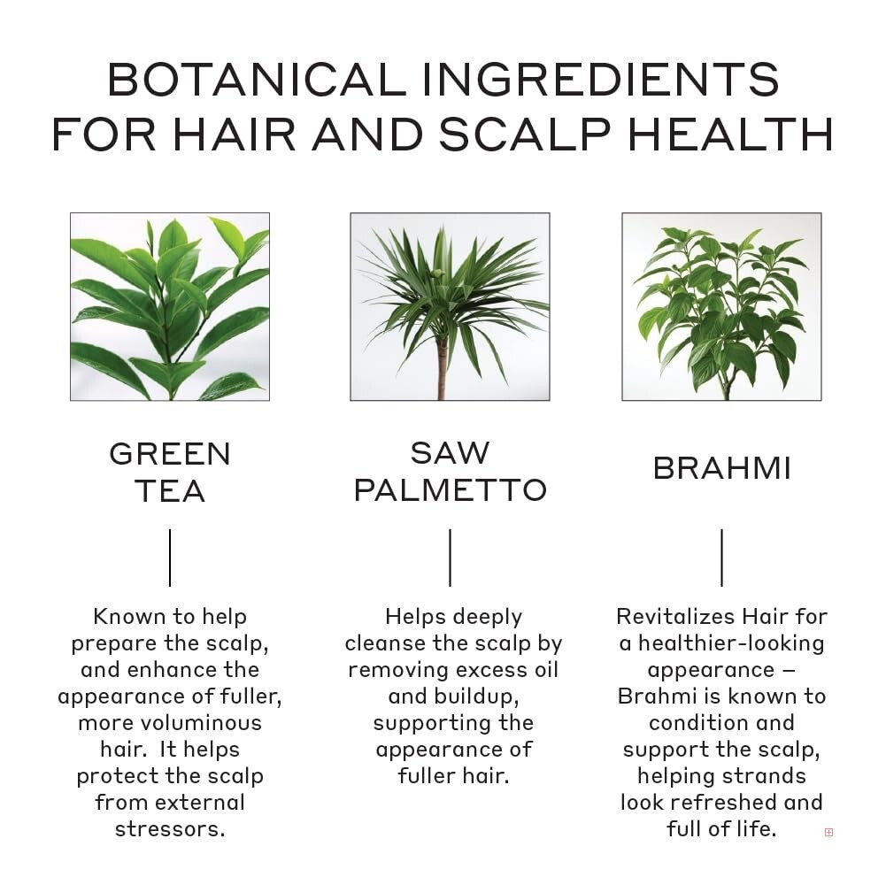 Revolve Revitalizing Shampoo - Supports Fuller Hair with Natural Ingredients