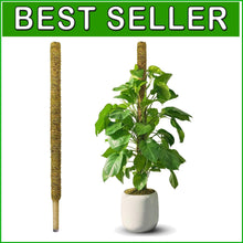 Load image into Gallery viewer, Large 59-Inch Moss Stake for Tall Indoor Plants - Durable &amp; Elegant Support Pole