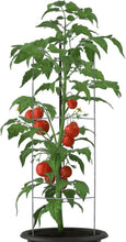 Load image into Gallery viewer, Heavy-Duty 30" Wire Stakes for Lawn Signs - Ideal for Realtors &amp; Campaigns