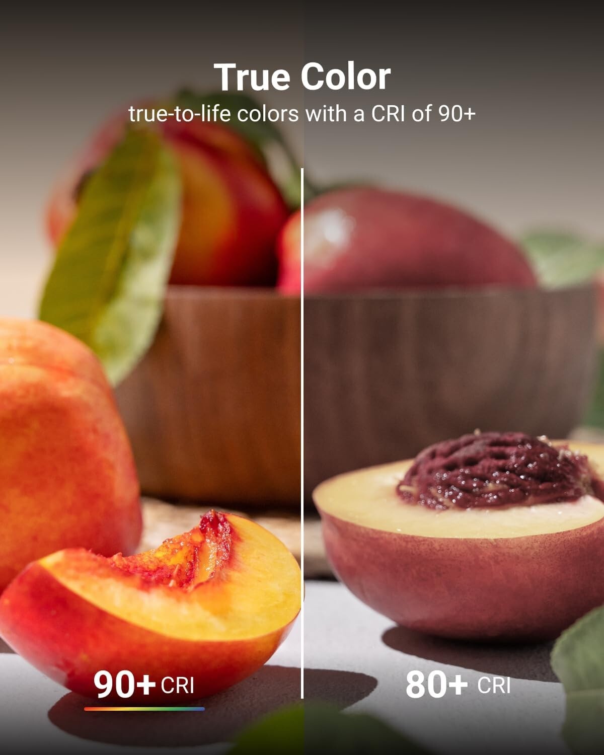 Energy-Efficient 9W GU24 LED A19 Bulbs - 16 Pack, Dimmable & Shatter Resistant