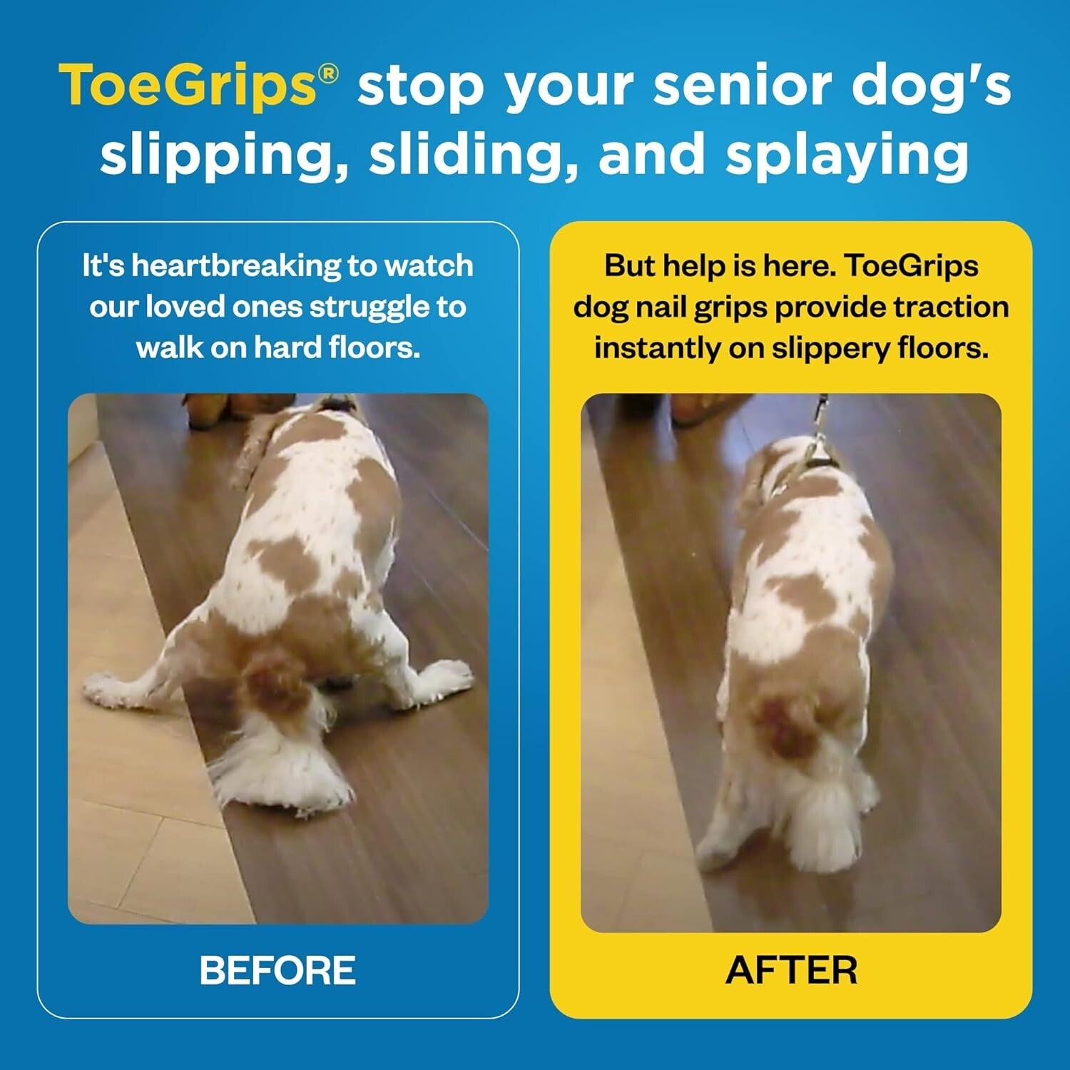 Veterinarian Recommended Dog Traction Grips - Perfect for Senior & Large Dogs
