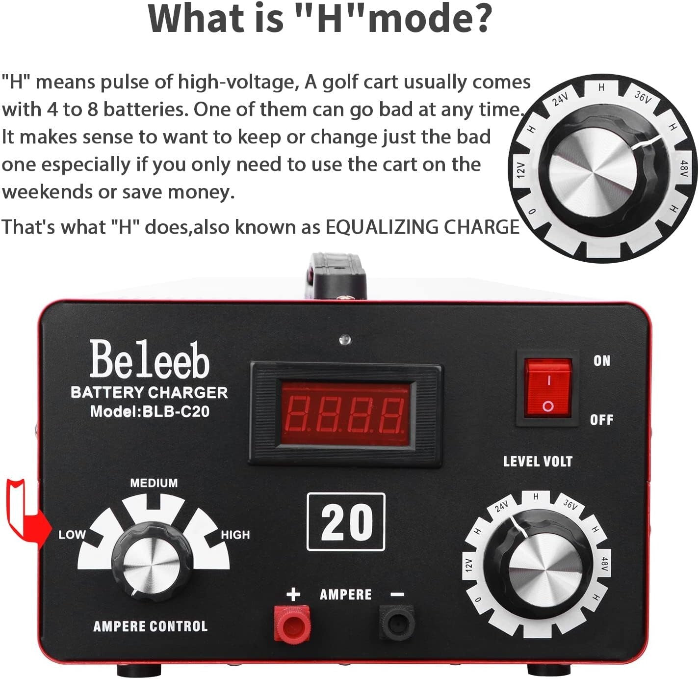 Effortless Battery Maintenance with C20 12V-48V Charger and Pulse Technology