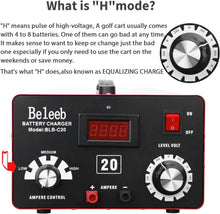 Load image into Gallery viewer, Effortless Battery Maintenance with C20 12V-48V Charger and Pulse Technology