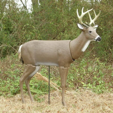 Load image into Gallery viewer, Primos Scarface Deer Decoy - Flexible Ground Mount for Ultimate Hunting Success