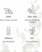 Load image into Gallery viewer, Undiluted Tea Tree Essential Oil - Safe for Kids, Ideal for Diffuser &amp; Skin