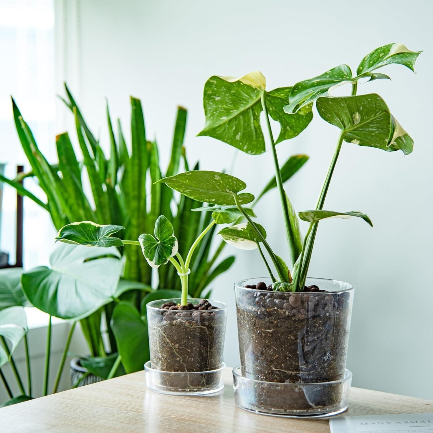 Lightweight Clear Acrylic Orchid Planter with Drainage - Ideal for Home Decor