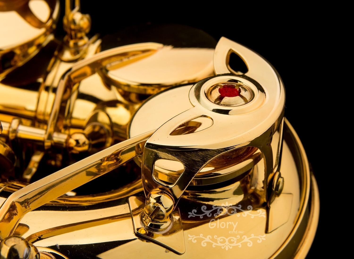 Versatile E Flat Alto Saxophone with Luxury Gold Finish - Perfect for All Ages