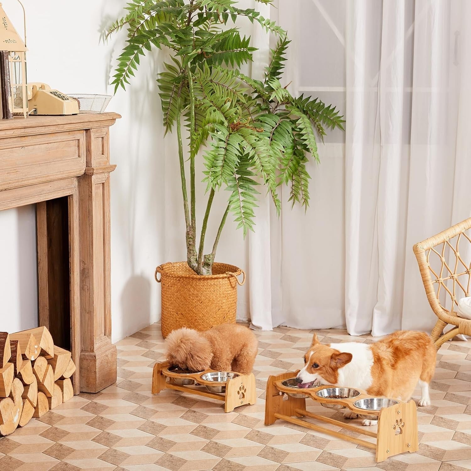 Stylish Elevated Dog Feeder with Anti-Slip Bamboo Base & Stainless Steel Bowls