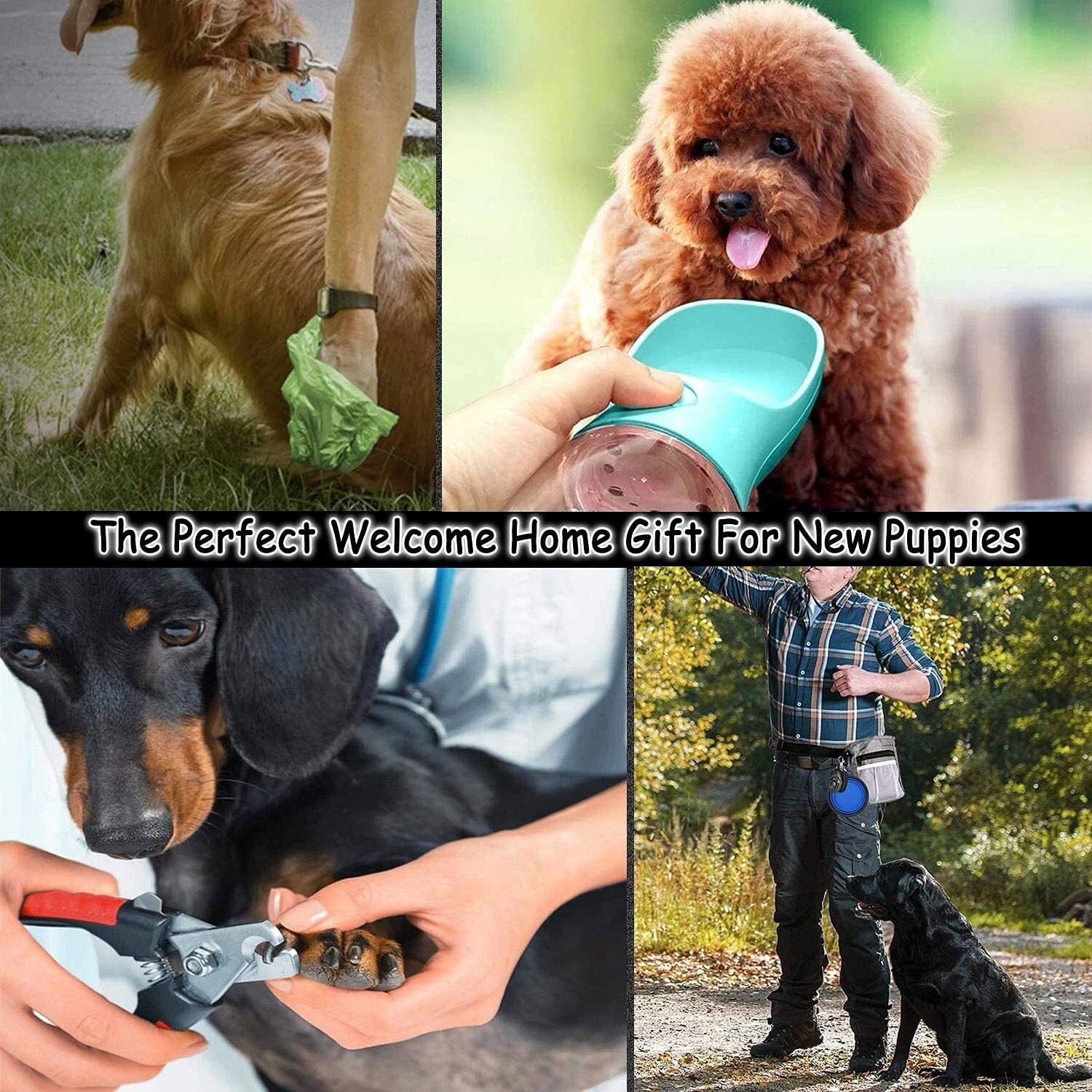 39-Piece Puppy Supplies Starter Kit - Ultimate Welcome Gift for New Dogs