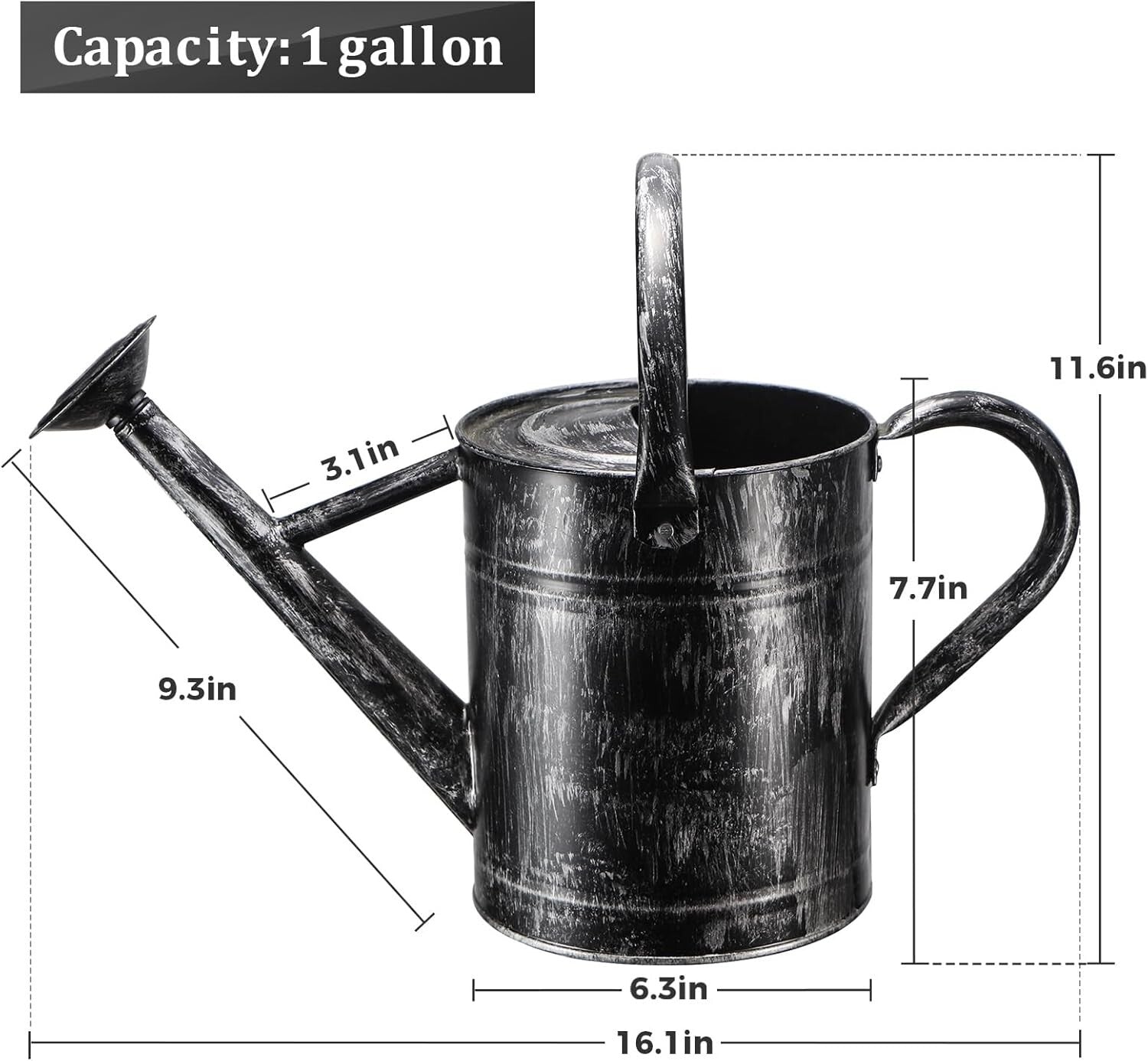 Elegant 1-Gallon Galvanized Steel Watering Can for Indoor & Outdoor Plants