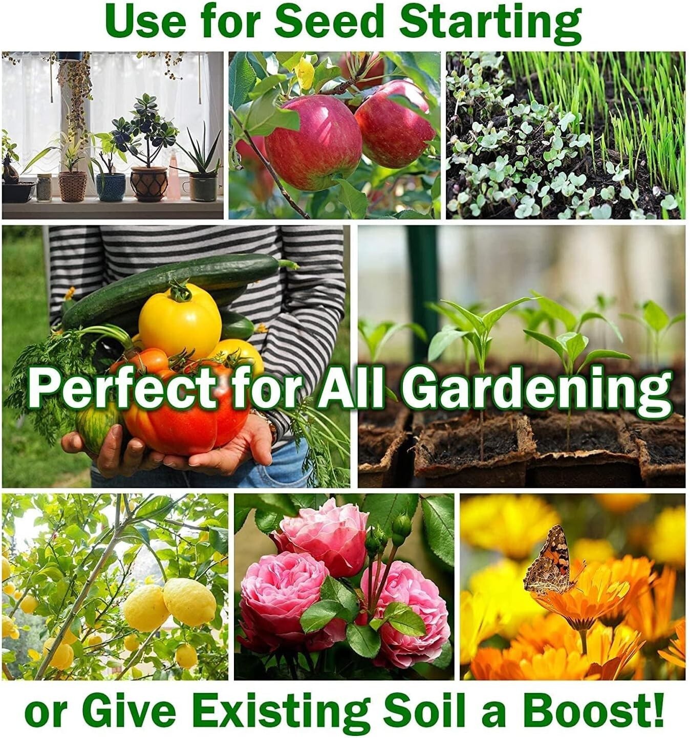 250 Count Organic Coco Coir Seed Pellets - Ideal for Home & Professional Growers